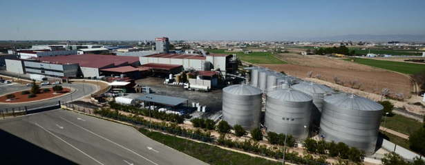 精煉生活，滋養未來——XX油脂公司簡介